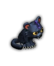 쿠거