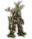 엔트