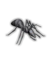 거대 개미